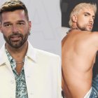 Ricky Martin y Johann Vera son cantantes.