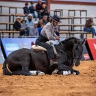 Espectáculo ecuestre que fusiona las tradiciones de España y Ecuador.