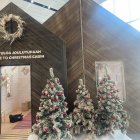 Papá Noel recibe miles de cartas cada año en su buzón oficial ubicado en Finlandia, uno de los puntos turísticos más visitados durante la Navidad.