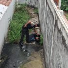 El momento en que el hombre es detenido por la Policía.