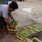 El sospechoso es de nacionalidad venezolana.