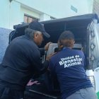 La Unidad de Bienestar Animal retiró a los caninos del sitio.