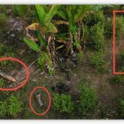 El informe técnico binacional apunta a que hubo un rebote.