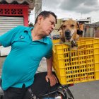 Maluma, el perro motociclista, se roba las miradas mientras recorre Guayaquil junto a su dueño sobre una moto.