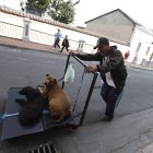 Carlos recorre todos los días las calles del Centro Histórico de Quito junto a sus dos canes.
