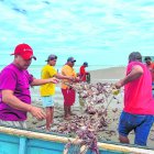 Pescadores de Atacames, Súa y Tonsupa enfrentan una crisis sin precedentes por la expansión de la jaiba mora.