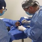 Dos médicos veterinarios operaron a la perrita. La intervención quirúrgica para salvarle la vida duró cerca de cinco horas.