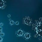 Según el reciente estudio, la vida acuática puede estar en peligro porque el COVID-19 bordea los 30 días de existencia en el agua.