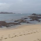 Los usuarios en redes sociales reportaron la situación en las playas mexicanas.