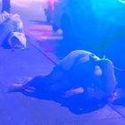 El cadáver fue encontrado sin ningún tipo de vestimenta y estaba con partes de su cuerpo atadas.