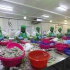 El organismo de control solicitó que se destruyeran los productos. 


Foto: Valentina Encalada

Nota: Lisbeth Zumba



01- MAYO Guayaquil-Ecuador

Agencia (ag-expreso)