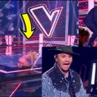  La caída de Fanny causó muchas risas entre sus compañeros. 