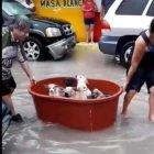 Los cachorros fueron trasladados en una enorme lavacara plástica.