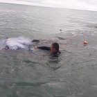 Momento en que un guardaparques intenta quitar las mallas que envolvían al animal.