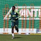 El volante ecuatoriano Jean Carlos Quiñónez fue ascendido al primer plantel del Palmeiras brasileño.