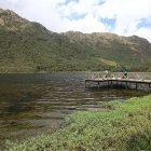  Una de las nuevas especies, la Atanatolica andina, vive en zonas elevadas. 