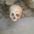  La osamenta fue enviada para los respectivos estudios a Guayaquil.  