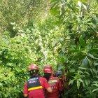 Un grupo de bomberos se interna en la zona para tratar de ubicar al niño.