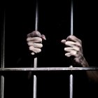 Los testimonios de las víctimas, familiares, peritos médicos, psicólogos y agentes aprehensores fueron contundentes para la sentencia.