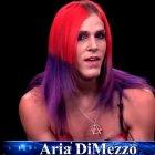 Aria DiMezzo protestó contra el sistema político entrando al sistema político.