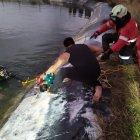 La profundidad del agua del reservorio es de aproximadamente 6 metros.