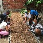 Los niños de la  fundación hicieron todo el trabajo de sembrado.