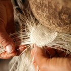 La elaboración de sombreros de paja y otras artesanías manabitas también son objeto de análisis del foro.