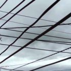 Referencial. Lo hizo para darle de comer a su familia.