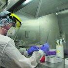 Para conocer si en un  espermatozoide existe coronavirus se puede realizar una prueba PCR al semen.