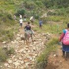 Una maratónica marcha hacia los recintos electorales debieron hacer los miembros de la comunidad indígena.