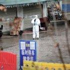 Un equipo de expertos que se desplazó a Wuhan para investigar en origen de la pandemia de la covid-19.