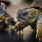 La ministra del Ambiente declaró que habría duras sanciones para los responsables.