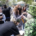 A los vacunados contra el covid-19 en Estados Unidos les dieron marihuana gratis.
