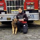 El animalito desapareció del destacamento de bomberos.