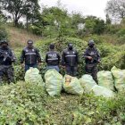 Agentes antidroga con sacos