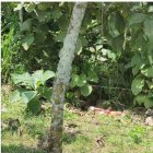 Cristhian Marcillo fue descubierto sin vida en el recinto Faita.