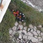 Un joven se habría precipitado del puente de los Pájaros, en el norte de Quito.