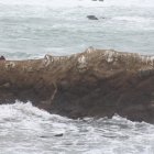 Los dos turistas se ubicaron en la punta del islote que estaba rodeado de agua.