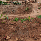El pastor tenía 22 años cuando fue enterrado vivo