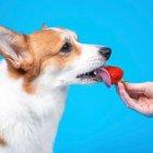 En el mercado existe variedad de opciones. Las frutas son una alternativa natural.