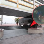 El ‘perreo carnal’ se dio entre la biblioteca y la administración del MAAC.