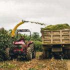 Las cosechas de maíz se tecnifican día a día, produciendo grandes resultados.