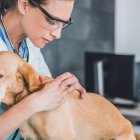 El enrojecimiento y la comezón son señales de alarma.