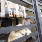 El hecho delictivo se registró en el norte de Guayaquil.