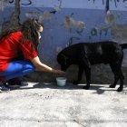 Jannet González alimenta a los animalitos de la calle que se cruzan por su camino. Quiere que sus vecinos también los cuiden.