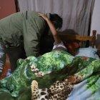 Un tío visita a la menor de sus sobrinos, quien pregunta por sus padres.