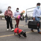 Los jóvenes llegaron con sus mascotas a salvo al aeropuerto Mariscal Sucre.