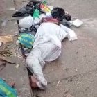 El cadáver del animalito estaba envuelto en fundas plástica y con cinta de embalaje.