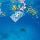 Plástico y demás desechos afectan el fondo de los oceanos.