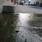 Casquillos de balas quedaron en el piso como evidencia del crimen.